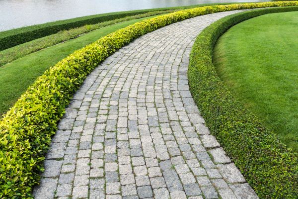 Sidewalk Pavers Installation in Troy